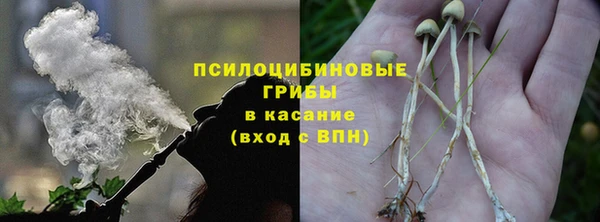 дживик Армянск