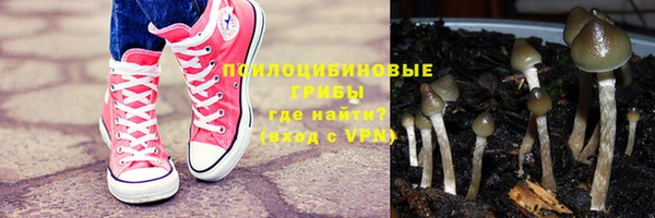 ECSTASY Алексин
