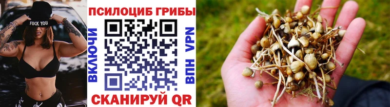Галлюциногенные грибы GOLDEN TEACHER  наркошоп  OMG как войти  Аша 