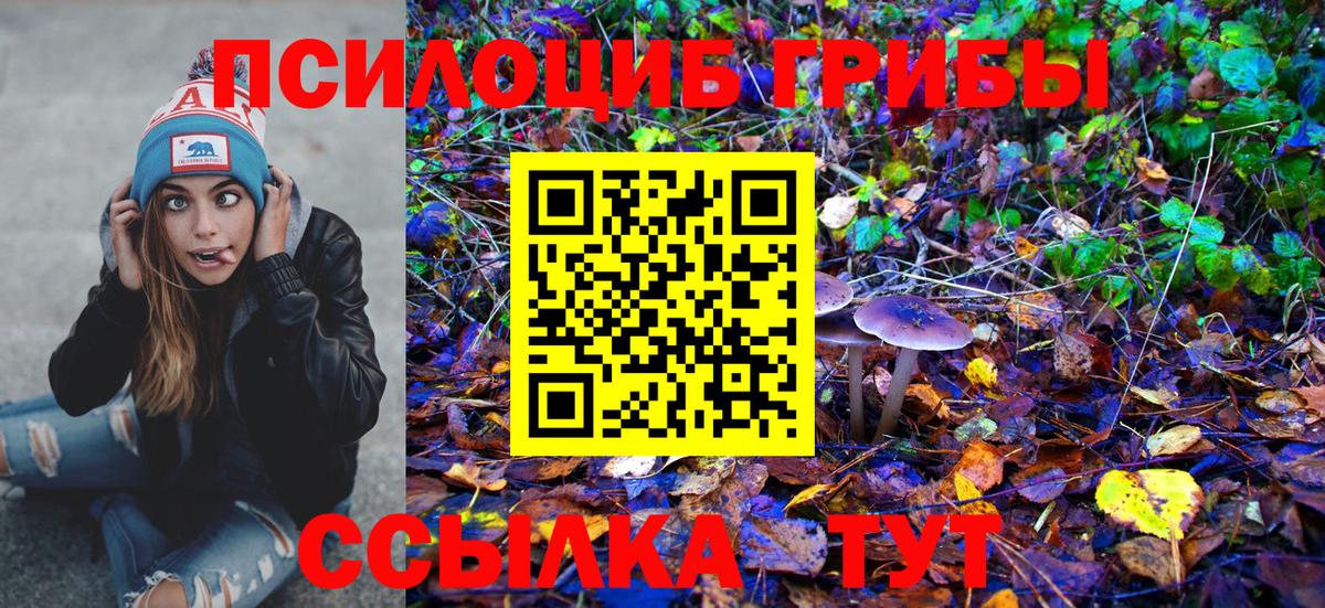 Псилоцибиновые грибы GOLDEN TEACHER Аша